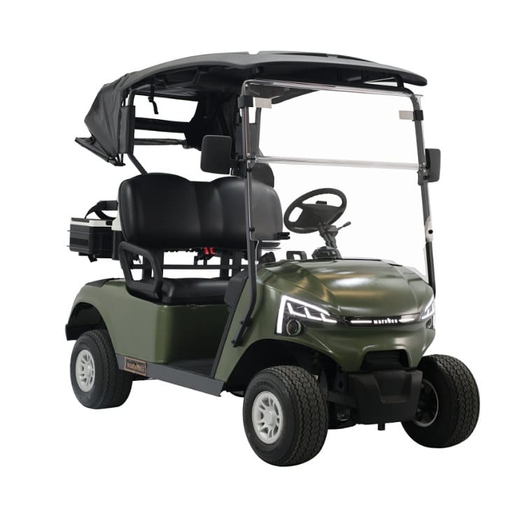2 seater electric golf buggy, the higher speed version of the course model
